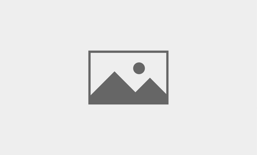 C03-2024 – DISEÑADOR GRÁFICO
